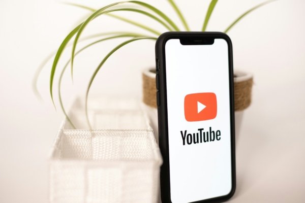 Beyaz arka plan önünde, saksılı bir bitkinin yanında duran akıllı telefon ekranında YouTube logosu.