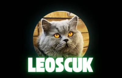 leoscuk-yapay-zeka Leoscuk Yapay Zeka