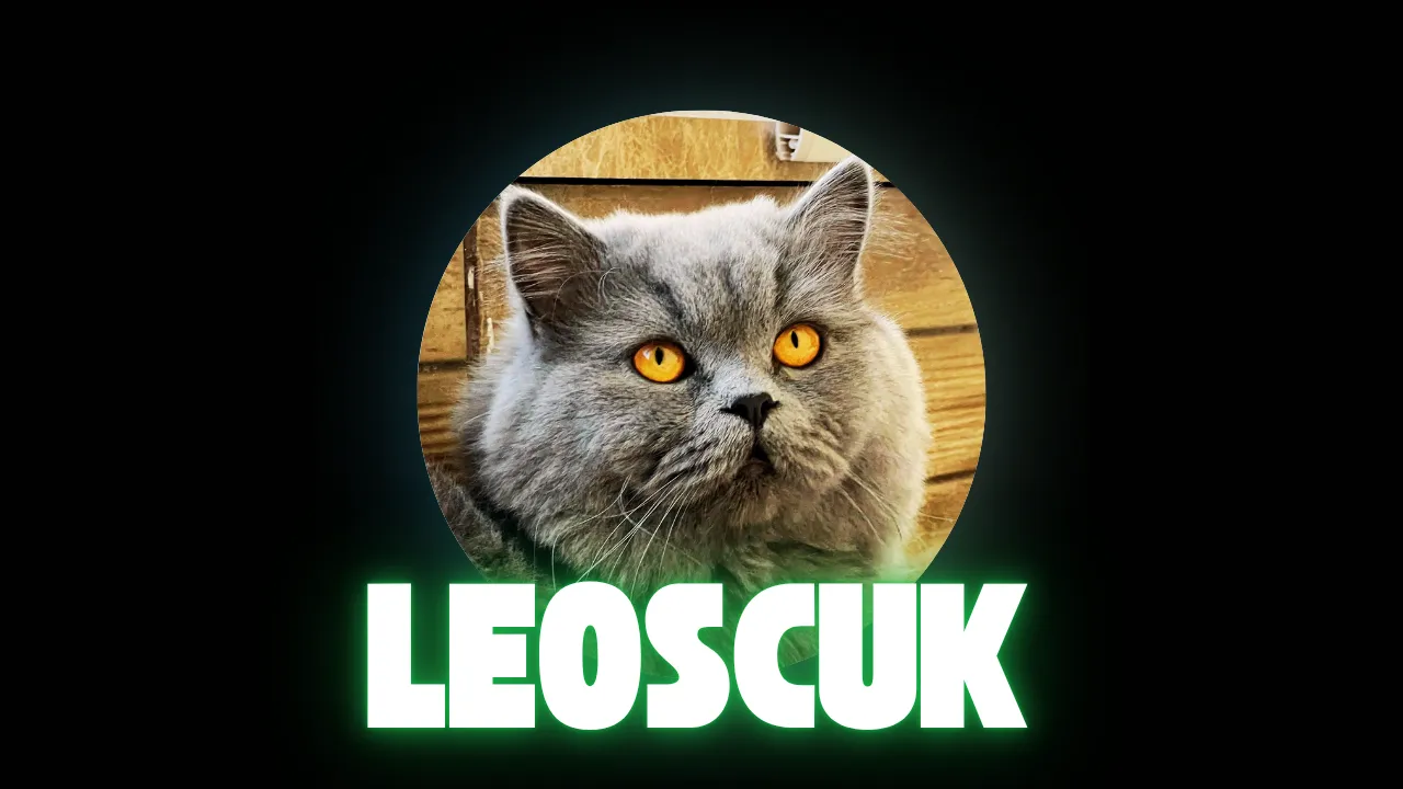 leoscuk-yapay-zeka Leoscuk Yapay Zeka