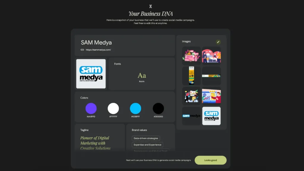 Google Pomelli Nedir